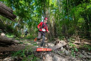 BIB: 
                            <button type="button" onclick="openModal(19389253)" class="btn btn-primary btn-sm float-right btn-popup" data-toggle="modal" data-target=".modal-high-quality">
                        <i class="fas fa-shopping-cart"></i> Add to Cart
                    </button>
                                            <button type="button" onclick="isThisMe(19389253, true)" class="btn btn-success btn-sm float-right btn-popup btn-isme hidden" data-toggle="tooltip" data-placement="bottom" title="นี่คือรูปของคุณใช่ไหม คลิกที่นี่เพื่อเอาเข้าอัลบั้ม">
                        <i class="fas fa-plus"></i> Add to album
                    </button>
                    <button type="button" onclick="isThisMe(19389253, false)" class="btn btn-warning btn-sm float-right btn-popup btn-isnotme hidden">
                        <i class="fas fa-ban"></i> Remove from album
                    </button>